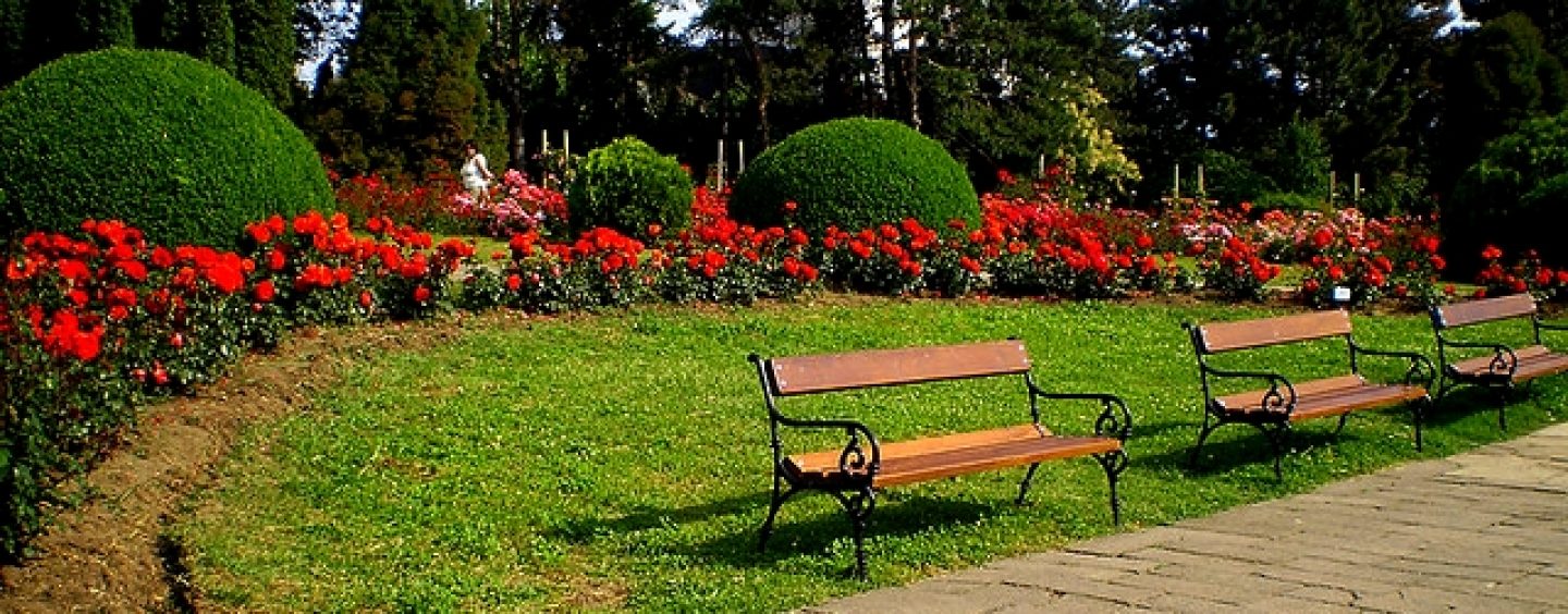 Grădina Botanică serveşte interesului public