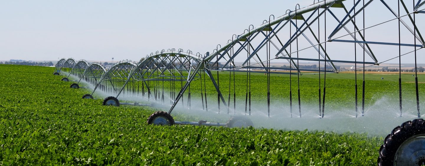 Agricultorii au nevoie de irigaţii, la vreme de secetă