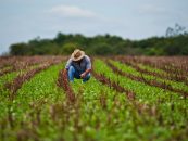Agricultura, în topul locurilor de muncă