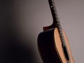 Iaşi Guitar Festival, în curând la Iaşi