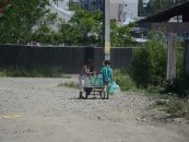 Civilizație forțată în zona Cicoarei