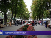 Aleea gurmanzilor la Vaslui