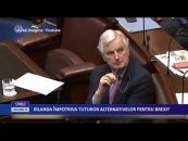 IRLANDA ÎMPOTRIVA TUTUROR ALERNATIVELOR PENTRU BREXIT