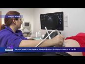 Proiect: Mamele care primesc indemnizatie pot desfasura o serie de activitati