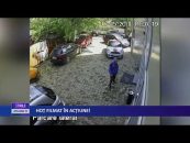 HOŢ FILMAT ÎN ACŢIUNE!