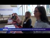 ALEGERI EUROPARLAMENTARE 2019. CE SANCȚIUNI RISCĂ CEI CARE VOTEAZĂ DE MAI MULTE ORI