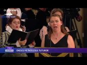 ENESCU PE ÎNȚELESUL TUTUROR
