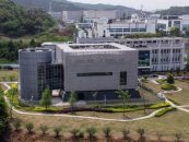 Cum ar fi putut virusul să scape din laboratorul din Wuhan