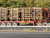 Transport ilegal de lemn la Suceava