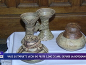 Vase și statuete vechi de peste 6000 de ani expuse la Botoșani