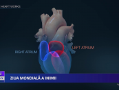 Ziua mondială a inimii