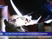 Cele mai căutate meserii în țară și în spațiul european