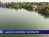 Lacul IOR din capitală are o culoare roșiatică