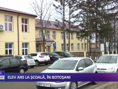 ELEV ARS LA ȘCOALĂ, ÎN BOTOȘANI