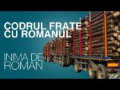 Inimă de român | 21.03.2018 | Alexandru Amititeloaie | Codrul frate cu românul