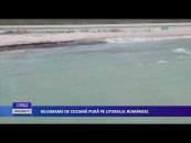 Kilograme de cocaină pură pe litoralul românesc