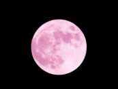 Super luna roz, un fenomen astronomic spectaculos