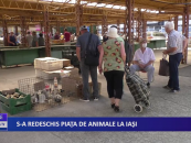 S-a redeschis piața de animale la Iași