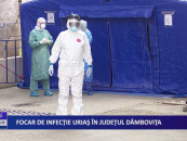 Focar de infecție uriaș în județul Dâmbovița