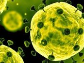 Coronavirus 1 martie: 2.096 cazuri noi de îmbolnăvire în România