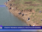 A început prohibiția generală a pescuitului în România